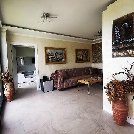 Lux Vila Aleksandar Sremska Kamenica Екстер'єр фото